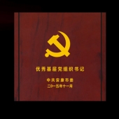 2015年10月定做　安康市委優秀基層黨組織書記紀念盤定做